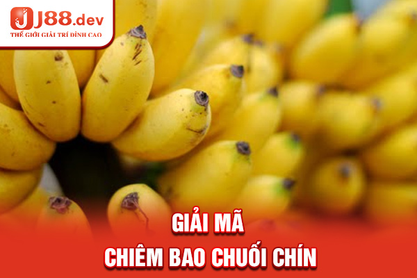 Giải mã chiêm bao chuối chín
