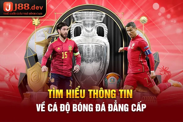 Tìm hiểu thông tin về cá độ bóng đá đẳng cấp