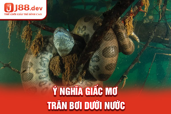 Ý nghĩa giấc mơ trăn bơi dưới nước